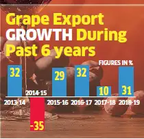 grape: India’s grape exports to Europe surge by 31% - The Economic Times