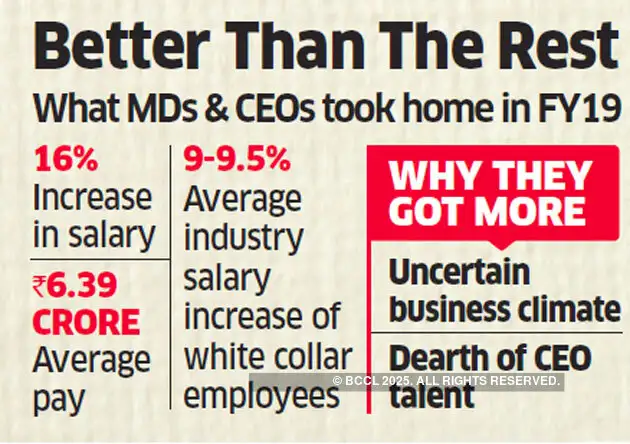 Indian Ceo Salaries Pay Formula More Risk Gain