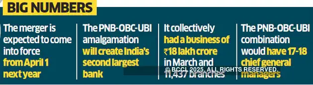 Merged Entity Of Pnb Oriental Bank Of Commerce And United Bank Of