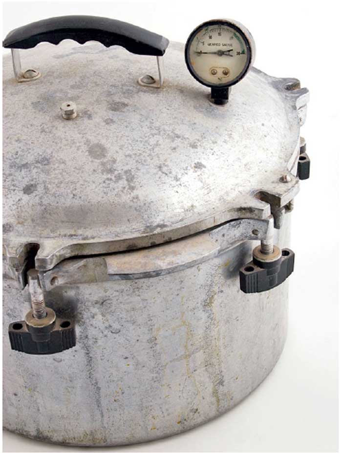 Electric Instant Pot Goodbye, pressure cookers It is now time for