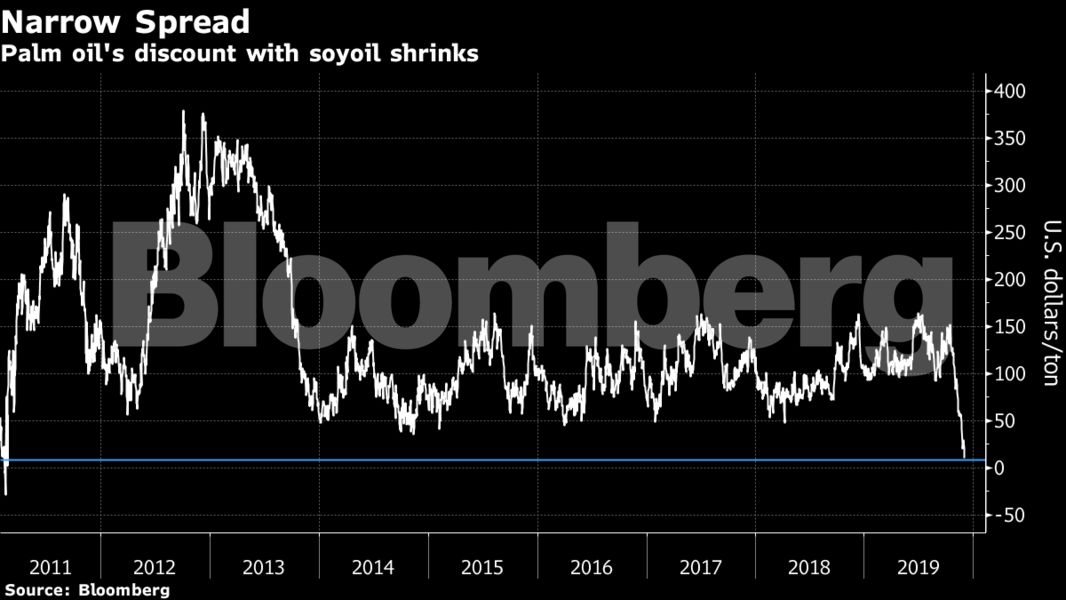 Palm Oil Palm Oil S Scorching Rally About To Burn Its Top Customer The Economic Times