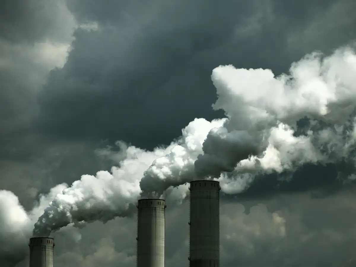 oxford dictionary Oxford reveals Word of the Year 2019 Here’s why we