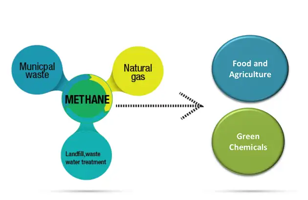 Hot Startups 2020: Transforming methane gas to meat equivalent. String ...