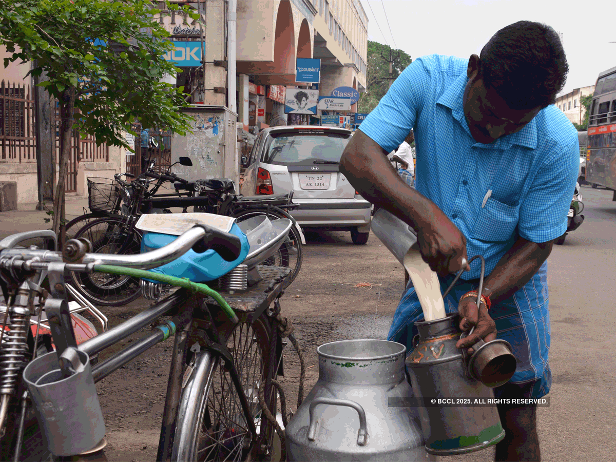 BigBasket Bigbasket eyes Milkbasket, DailyNinja The Economic Times