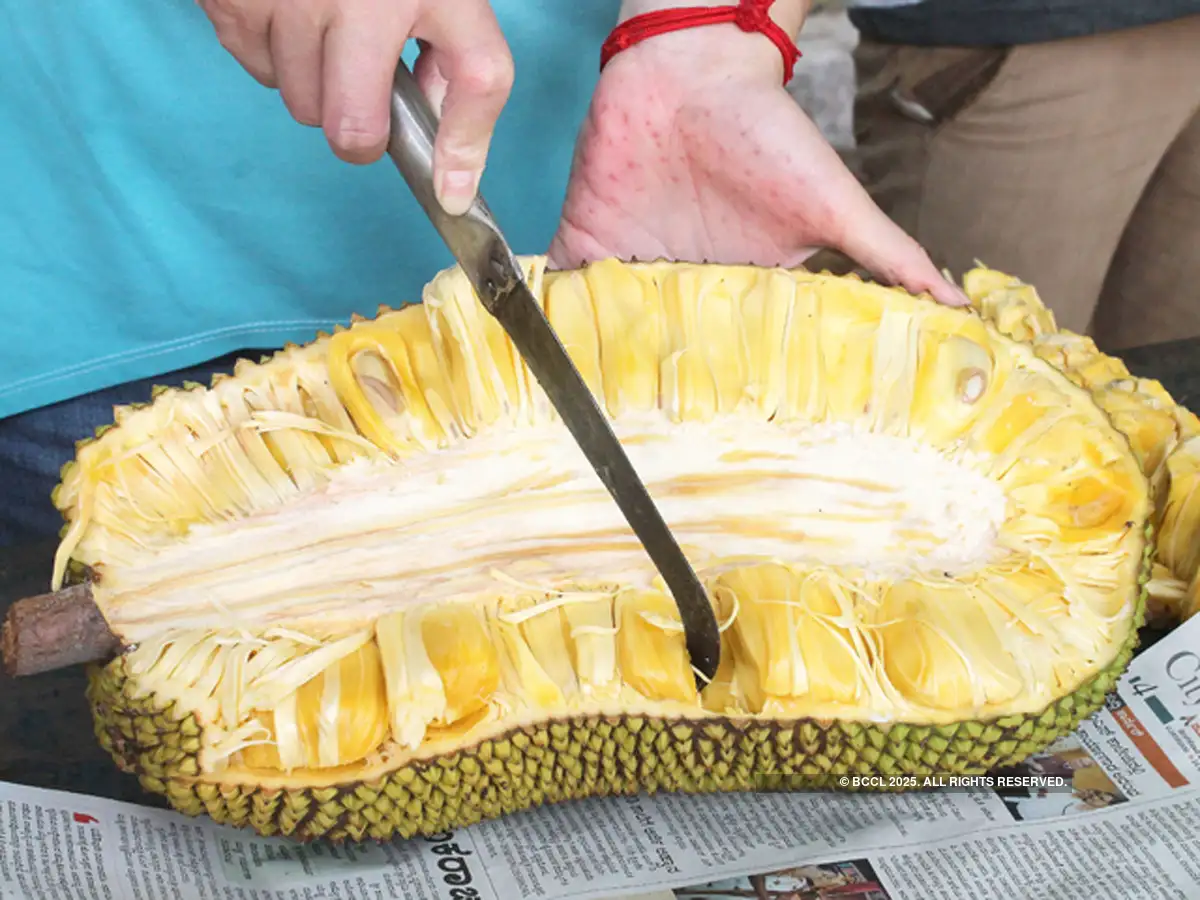 superfood Jackfruit Jackfruit goes global How India's superfood is