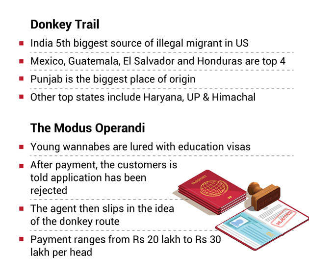 The curious case of donkey and donkers: On the great Indian (illegal) immigration trail - The Economic Times