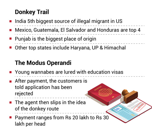 The Curious Case Of Donkey And Donkers On The Great Indian Illegal Immigration Trail The Economic Times