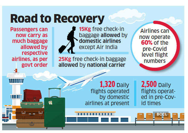 Domestic flight best sale baggage