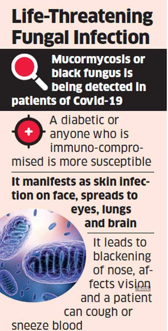 Black Fungus Black Fungus Area Of Concern Working With States Centre The Economic Times