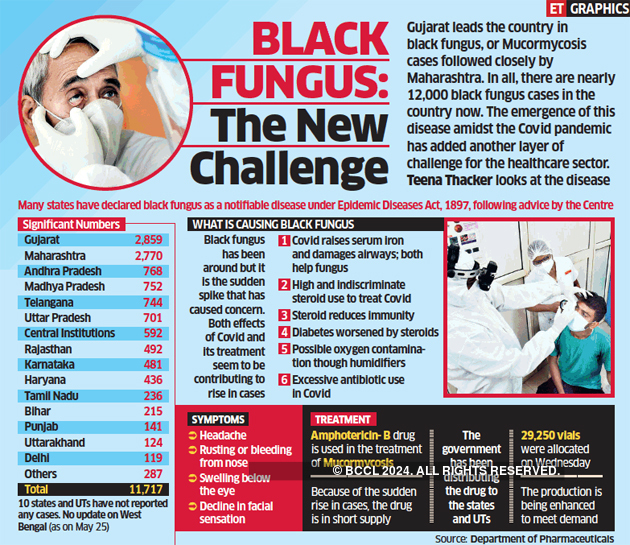 Black Fungus How Infection Starts Death Rate Treatment Medicine Other Key Things To Know The Economic Times