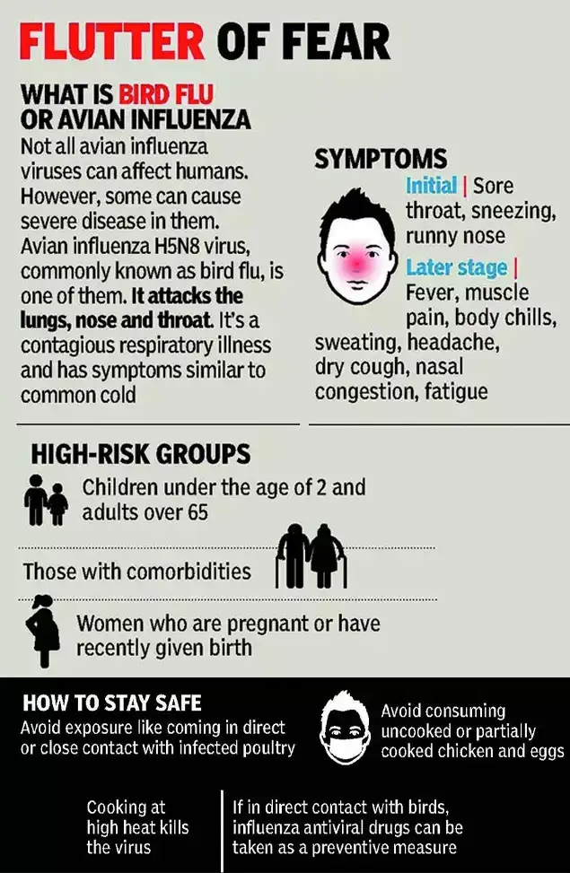 Bird flu: Human-to-human transmission of bird flu rare, no need to ...