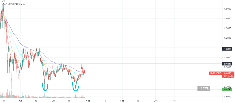 algo crypto price today