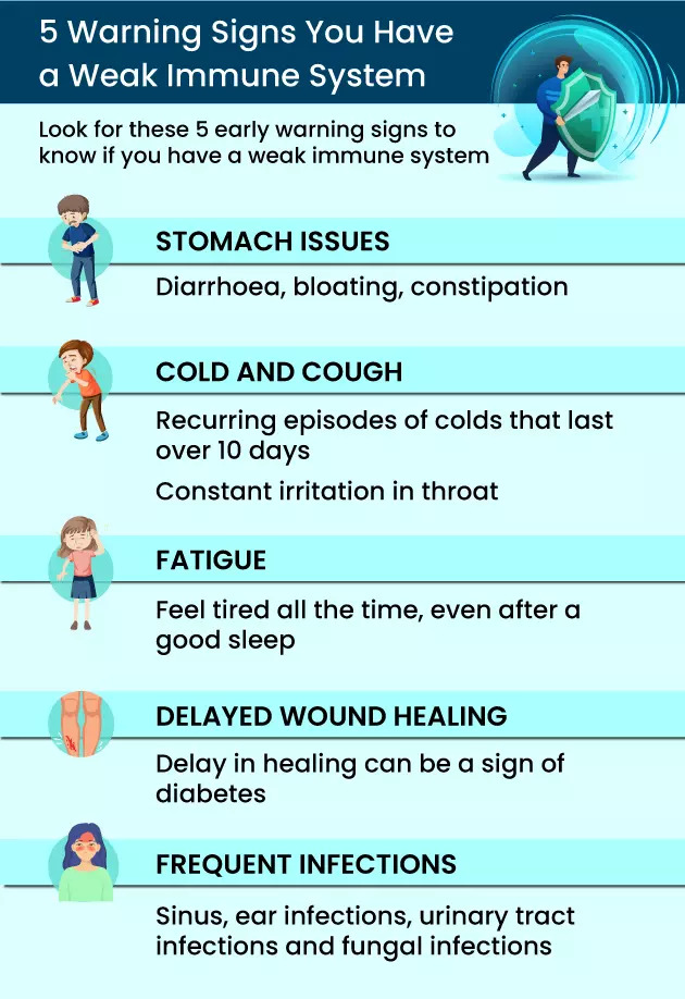 Weak Immunity System How To Look For Signs You Have A Weakened Immune 