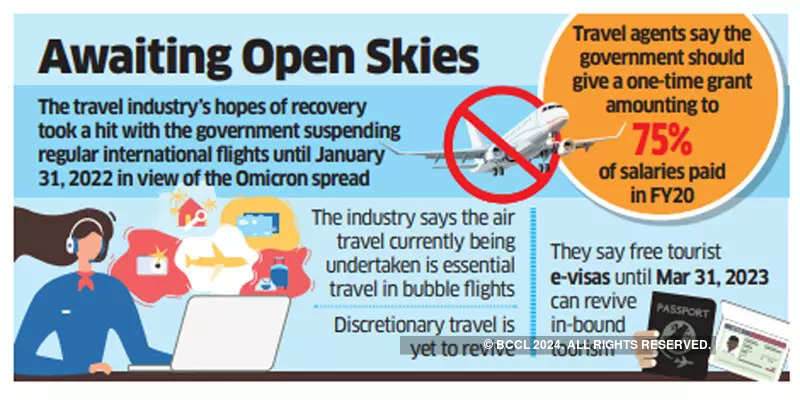 will air travel be banned