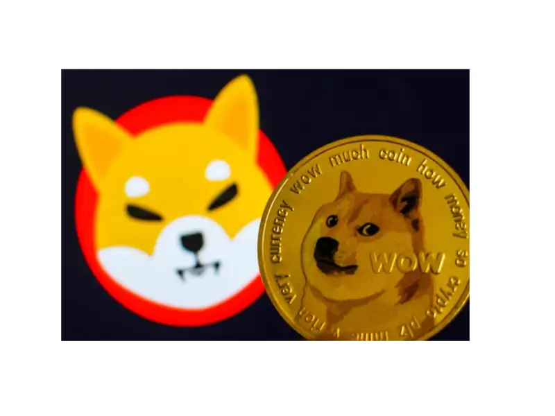 How-to-Buy-Shiba-Inu-Coin-in-Canada---Begiers-Guide
