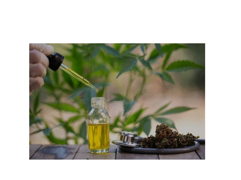 Best CBD Oil Australia Buy the best CBD Oil in Australia The Economic Times