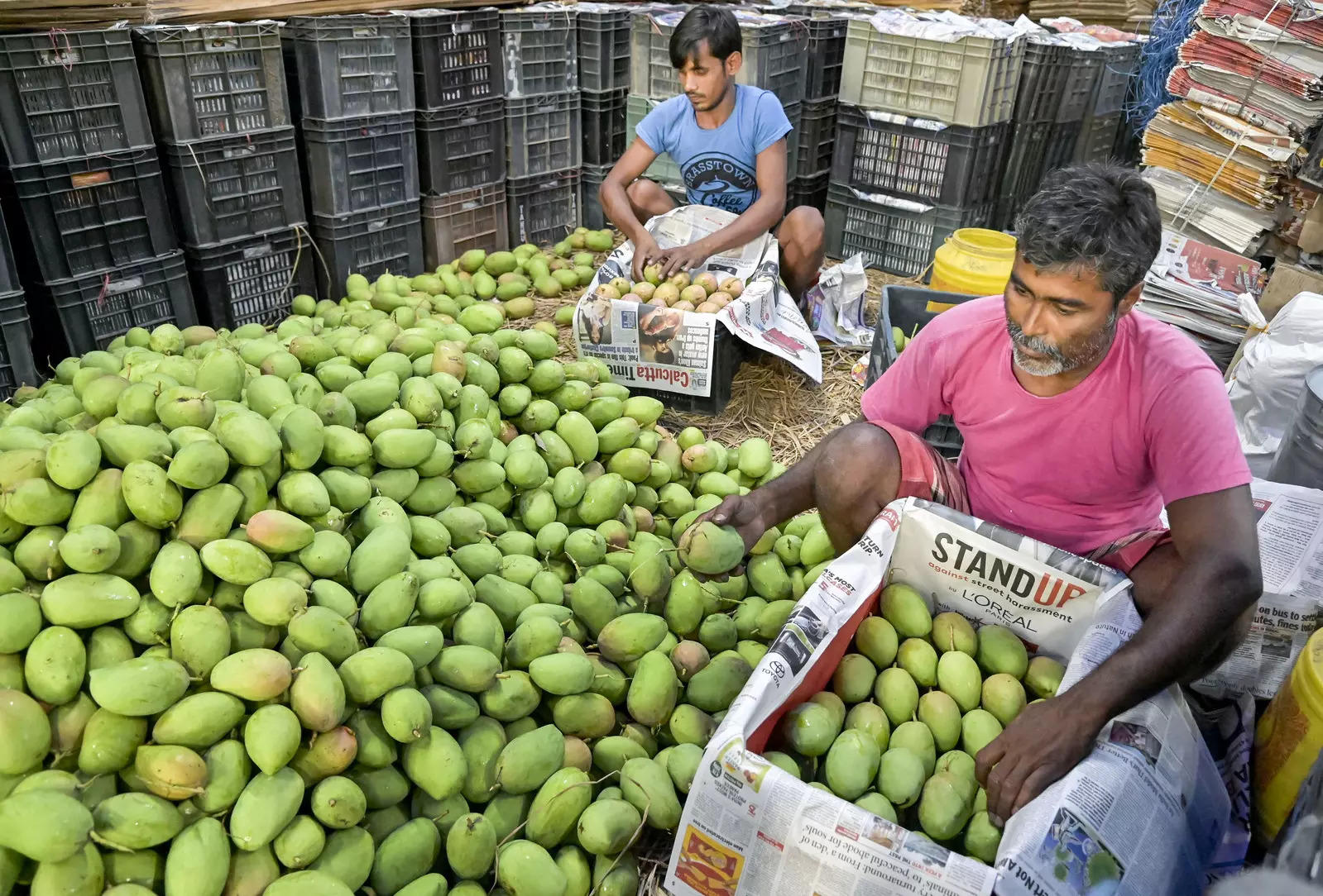 mango: A heat wave's lamented victim: The mango, India's king of fruits -  The Economic Times