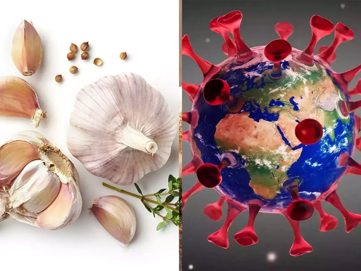 garlic 4 reasons why garlic should regularly feature in your diet this