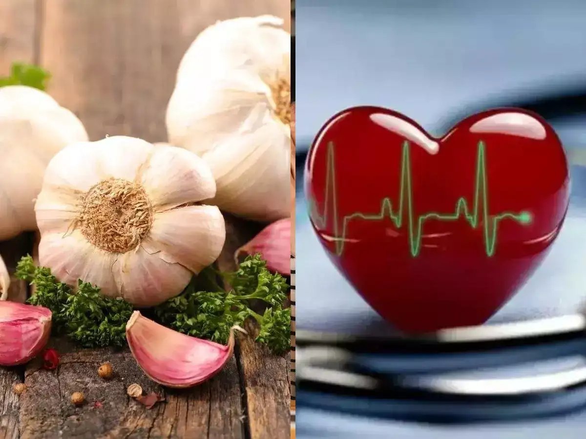 garlic 4 reasons why garlic should regularly feature in your diet this