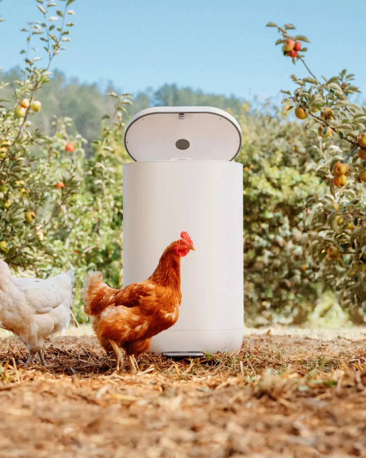 Nest co-creator wants you to pay $33 a month not to trash your food waste