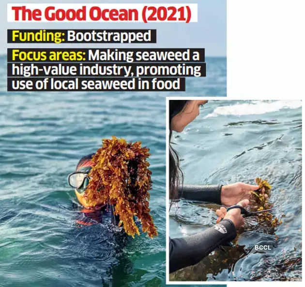 Seaweed gets rolling Indian companies explore sustainable solutions