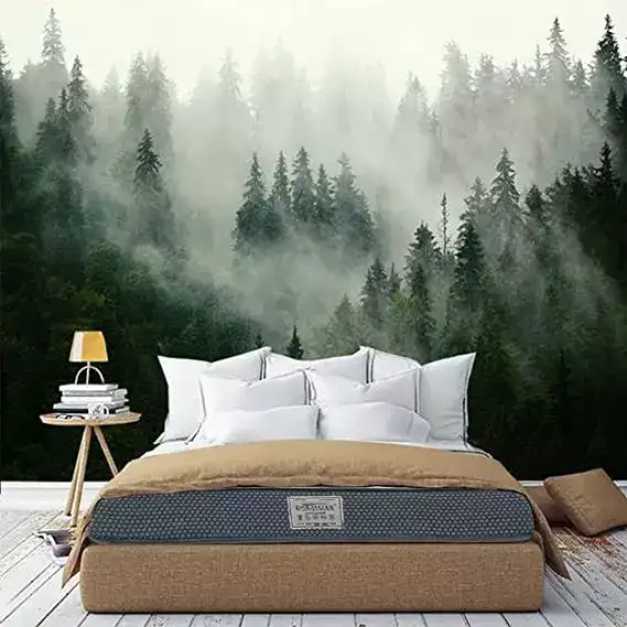 Image for DREAMZEEOrtho-BackMattress