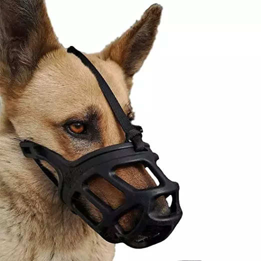 Best dog deals muzzle for biting