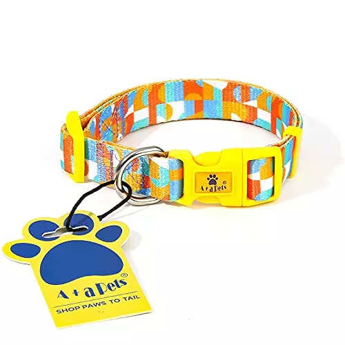 Dog Collars: Buy Custom Collars for Dogs & Puppies Online – Heads Up For  Tails