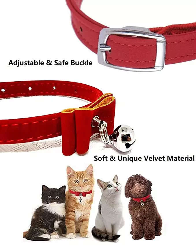 cat leashes: 7 best-selling cat leashes for your cat starting at Rs.120 -  The Economic Times