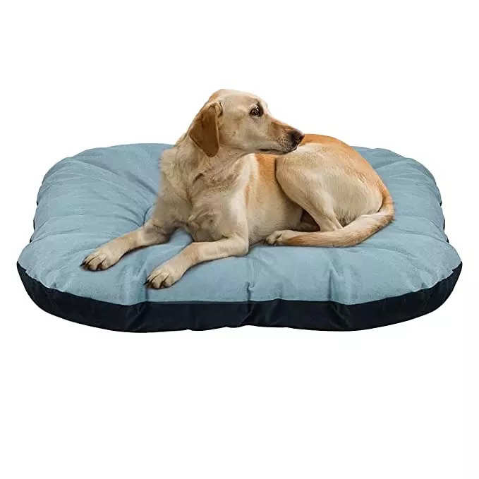 Extra large shop dog beds clearance