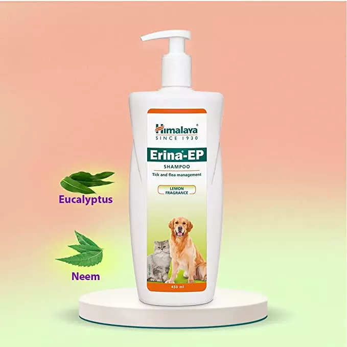 Antifungal dog hot sale shampoo