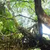 8 things to do at Cherrapunji, Meghalaya's hidden gem | EconomicTimes