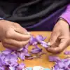 9 impressive health benefits of saffron