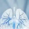 9 snacks that are good for lung health