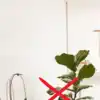 8 unlucky plants to keep out of your office