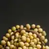 8 vegetarian protein sources for people over 40
