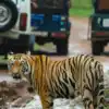 8 must-see animals of Ranthambore National park