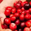 ​8 reasons to add cranberries to your daily diet​