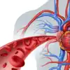 8 foods to naturally boost your hemoglobin levels