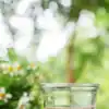 ​8 surprising benefits of drinking raisin water after dinner