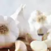 8 health benefits of garlic for a stronger, healthier you