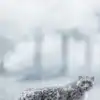 Snow Leopard
