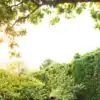 8 health benefits of a 3,000-step morning walk