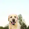 ​They follow you everywhere