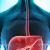  Aids Digestion