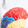 9 morning foods that keep your brain active all day