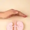 World Kidney Day: 8 Daily Habits to Keep Your Kidneys Healthy