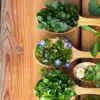 ​8 edible flowers that will make your smoothies & skin glow​