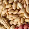 ​8 surprising health benefits of peanuts you need to know​