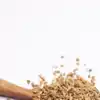 ​8 effective home remedies to control oily skin naturally​